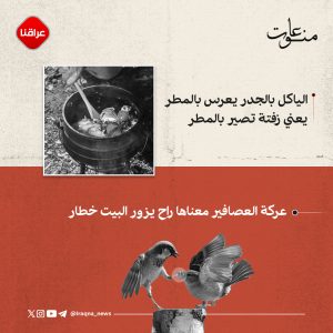 سوالف البيبيات