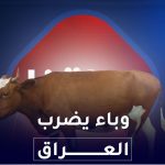 وباء يضرب العراق