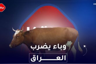 وباء يضرب العراق
