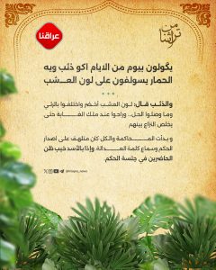 احفر النفق بمسمار ولاتجادل واحد حمار