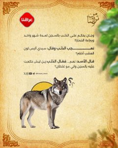 احفر النفق بمسمار ولاتجادل واحد حمار