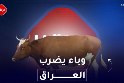 وباء يضرب العراق