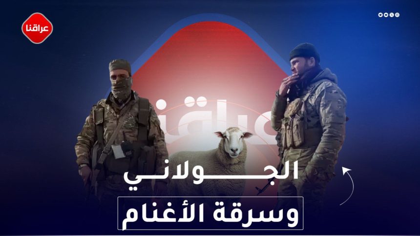 الجولاني وسرقة الاغنام