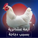 أزمة عشائرية بسبب دجاجة