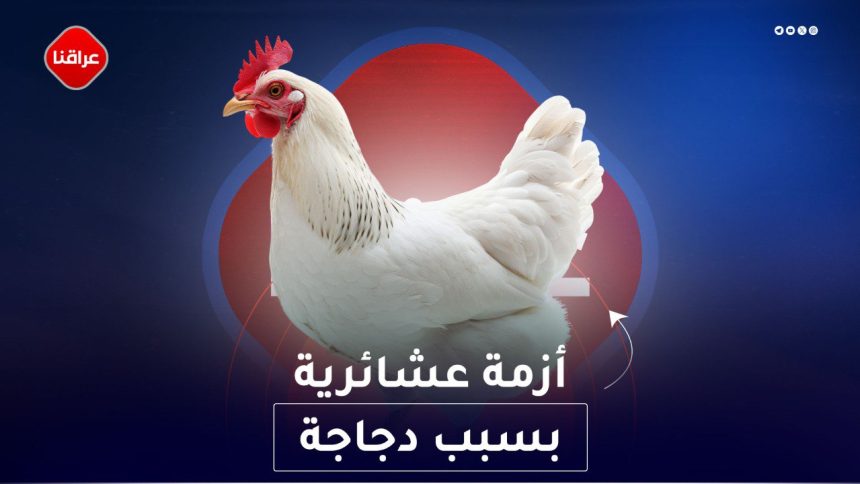 أزمة عشائرية بسبب دجاجة