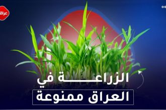 الزراعة في العراق ممنوعة