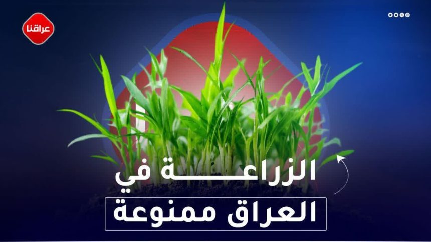 الزراعة في العراق ممنوعة