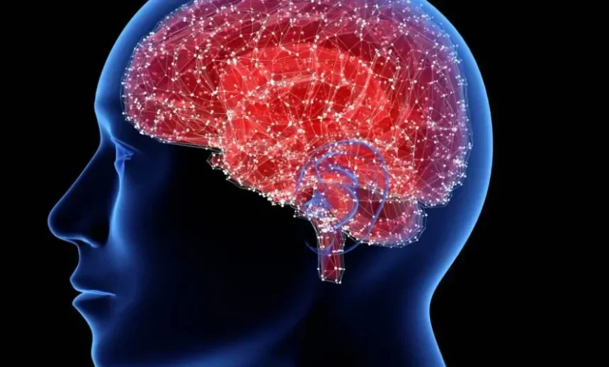 ارتجاج الدماغ