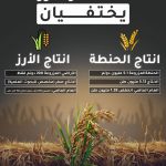 انخفاض نسبة الأمطار