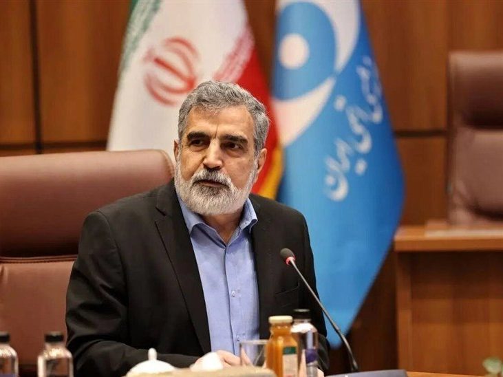 المتحدث باسم منظمة الطاقة الذرية الايرانية بهروز كمالوندي