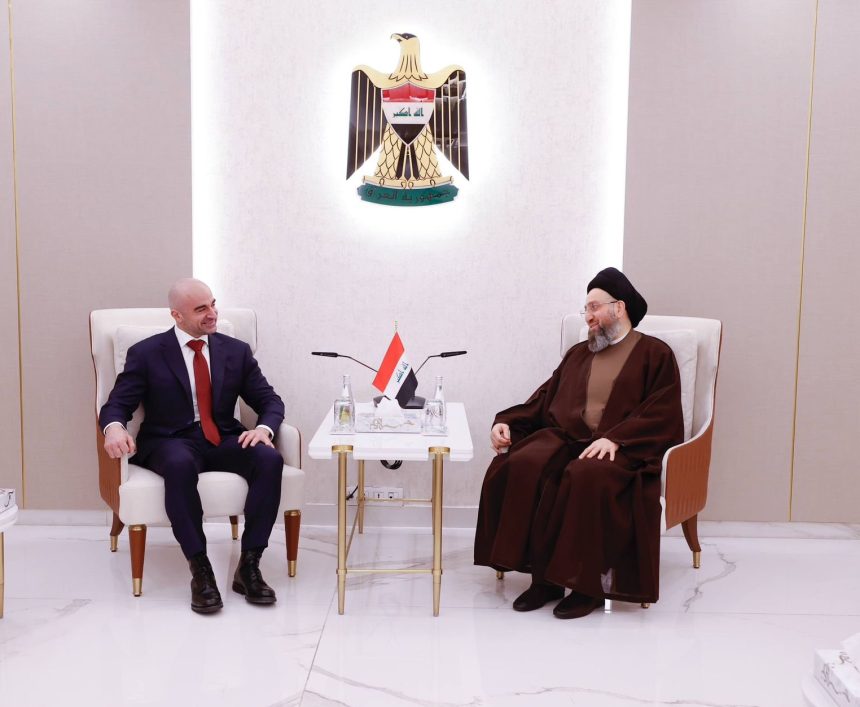 السيد الحكيم