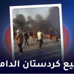 ربیع کردستان الدامي