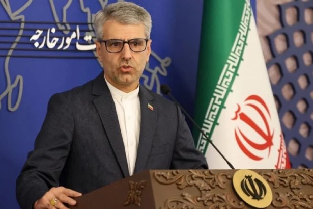 المتحدث باسم وزارة الخارجية الايرانية إسماعيل بقائي