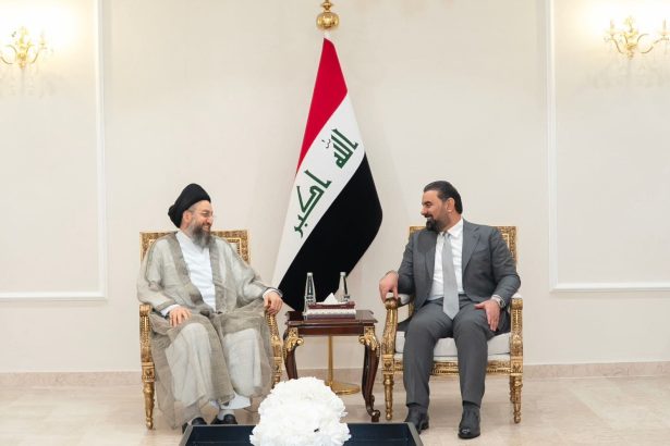 الحلبوسي والسيد الحكيم يؤكدان أهمية الإسراع باستكمال الكابينة الوزارية