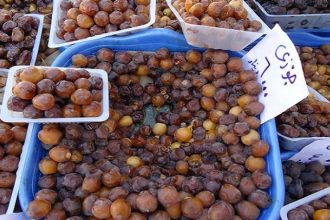 زراعه کربلاء